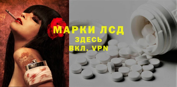 PSILOCYBIN Алзамай