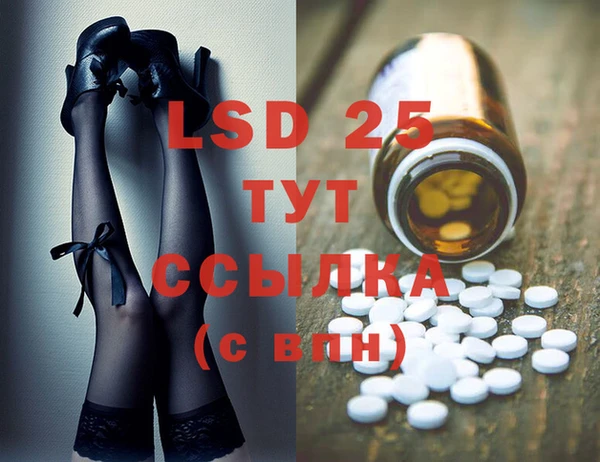 PSILOCYBIN Алзамай