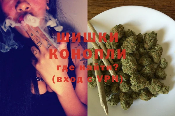 PSILOCYBIN Алзамай