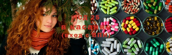 PSILOCYBIN Алзамай