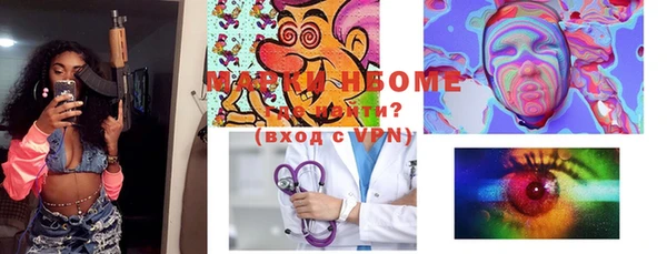 PSILOCYBIN Алзамай